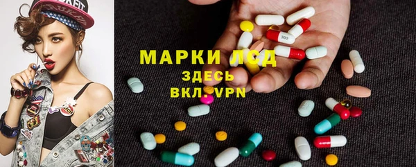 спиды Армянск